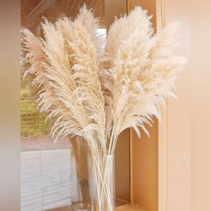 Pampas Natural Dry Grass